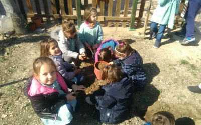 Proyecto educativo comedor: Alimentando tu arte