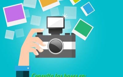 IV Concurso de Fotografía «Festa de la Primavera»