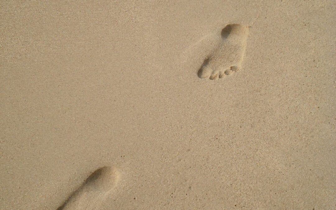 stockvault-footprints-in-the-sand140880-min