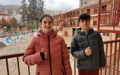 Programa Diploma Dual